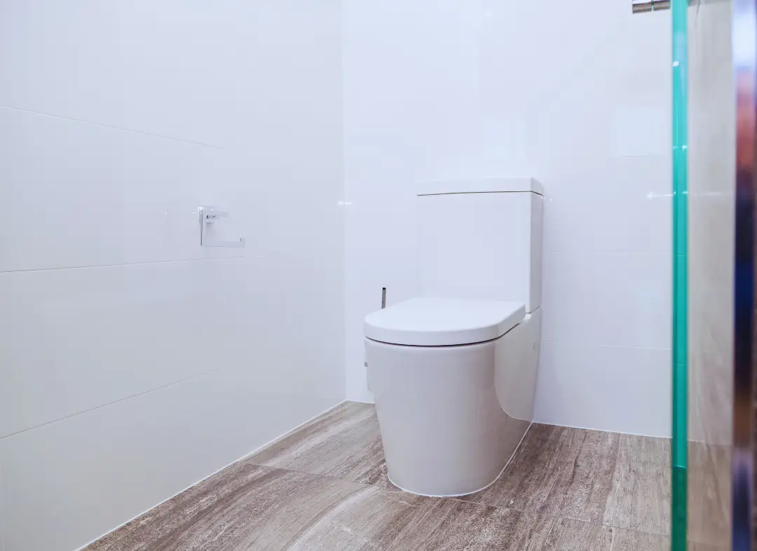 Remplacement de wc Sainte-Luce-sur-Loire